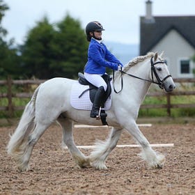 Dressage competition heightens at Knockagh View