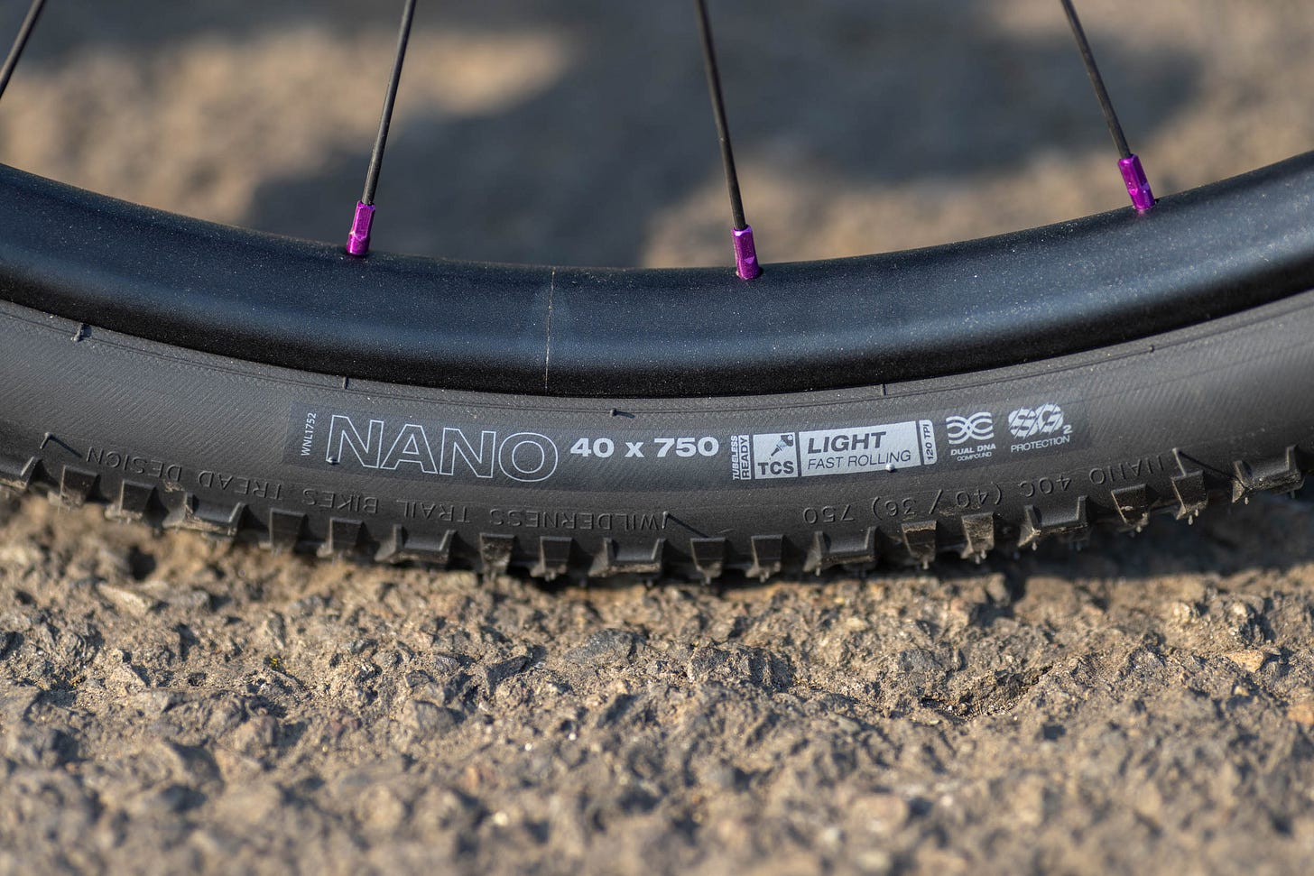 750d Wheels and Tires by WTB - BIKEPACKING.com