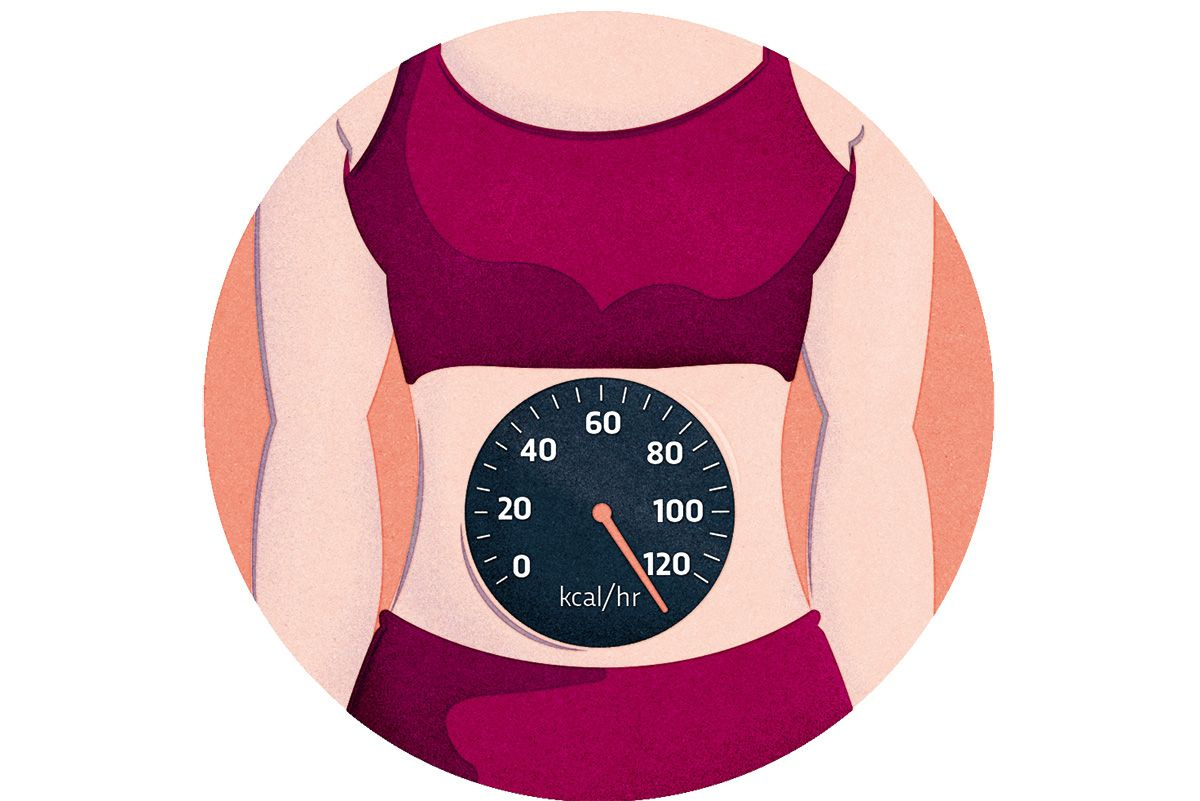 The fast metabolism myth: Here's what actually determines how slim you are - BBC Science Focus Magazine The fast metabolism myth: Here's what actually determines how slim you are - BBC Science Focus Magazine