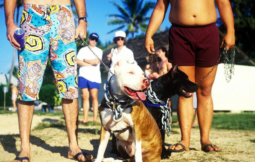 ‘It’s Just Dog Racism’