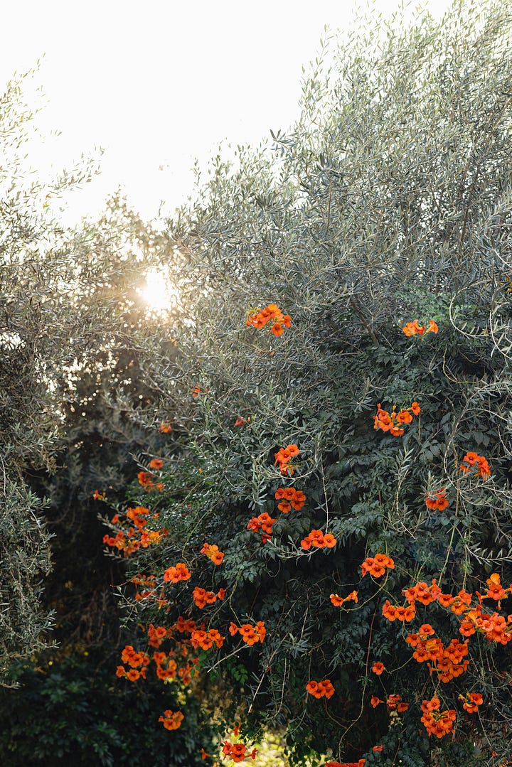 Sivota, Greece, Foto Hanna Skoog