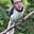 Jay Lender's avatar