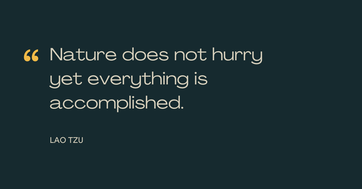 Nature does not hurry  yet everything is accomplished.