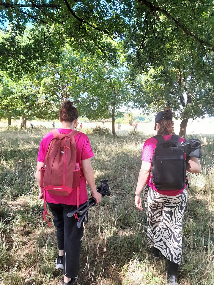 Photo de champs, chemin dans les champs, forêts et personnes qui marchent dans la forêt