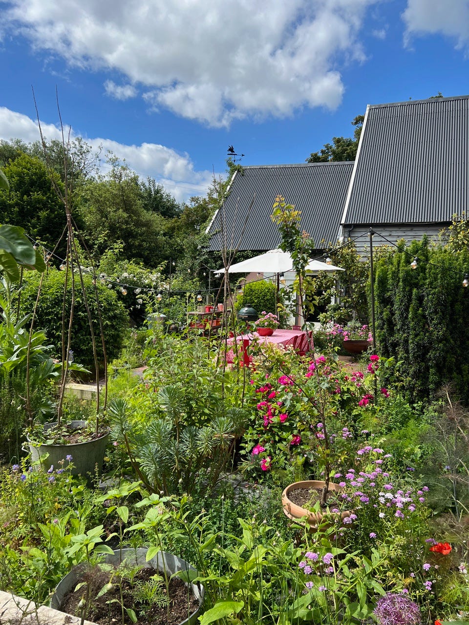 Vegetable beds and flowerbeds with a house in the background