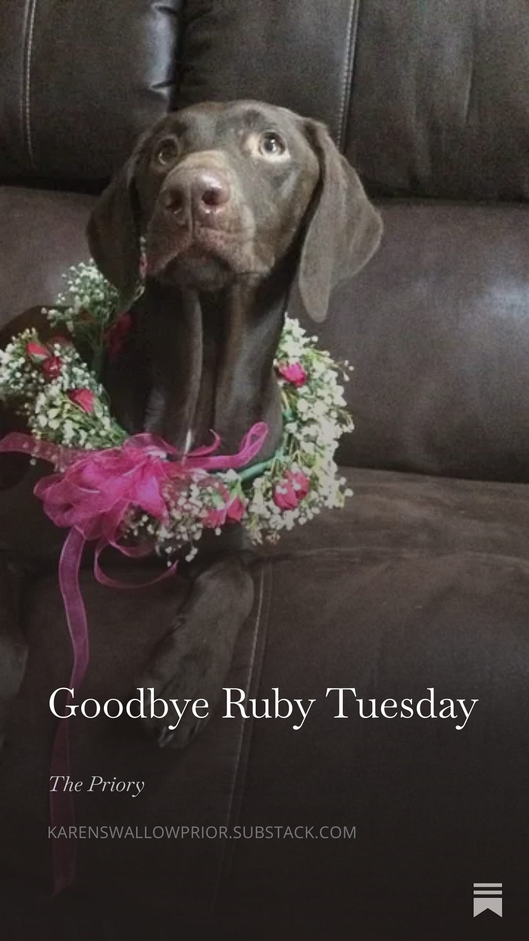https://karenswallowprior.substack.com/p/goodbye-ruby-tuesday