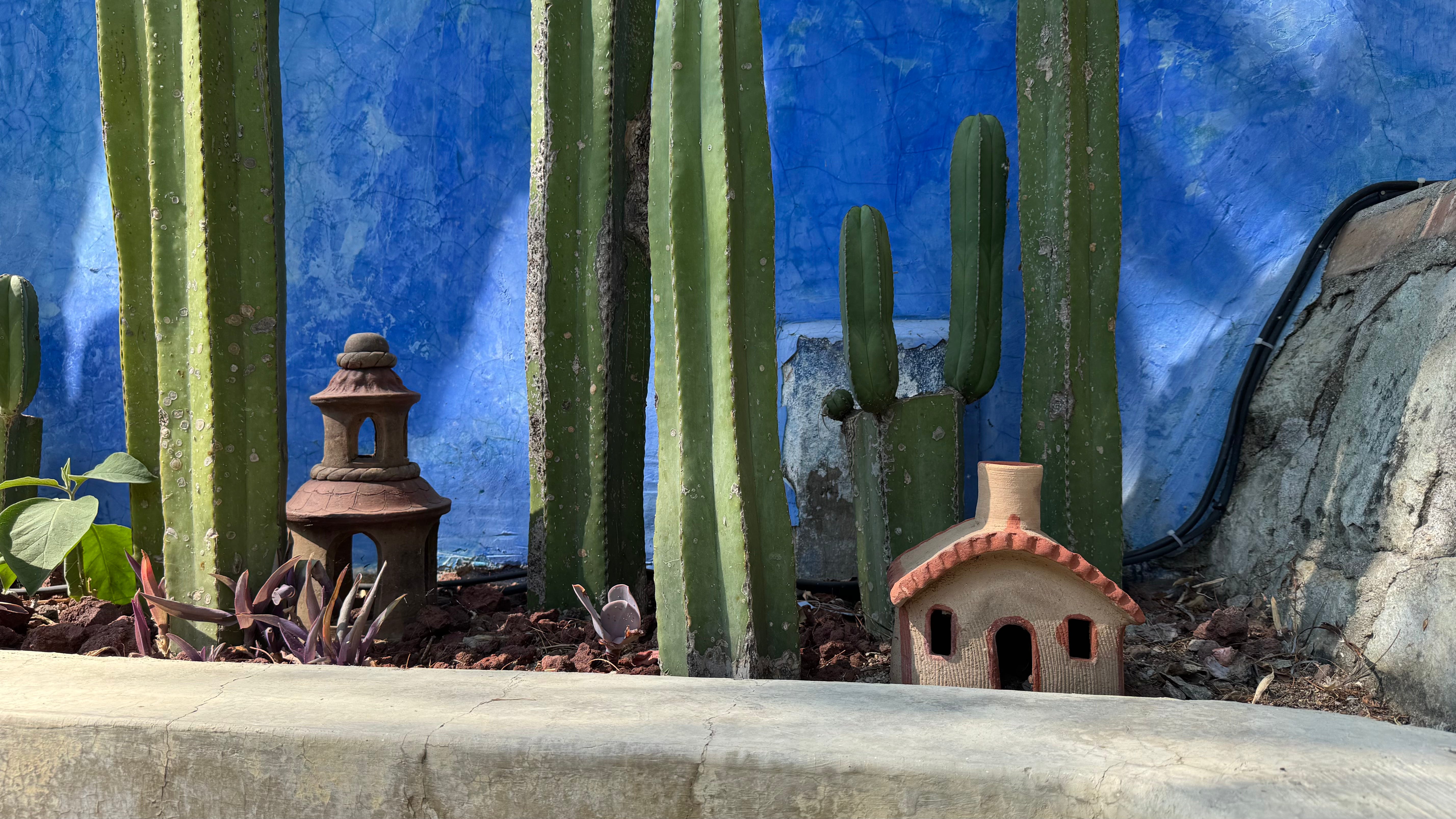 A Brief Guide to Oaxaca's Spring Shoulder Season