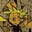 Luke Richards's avatar