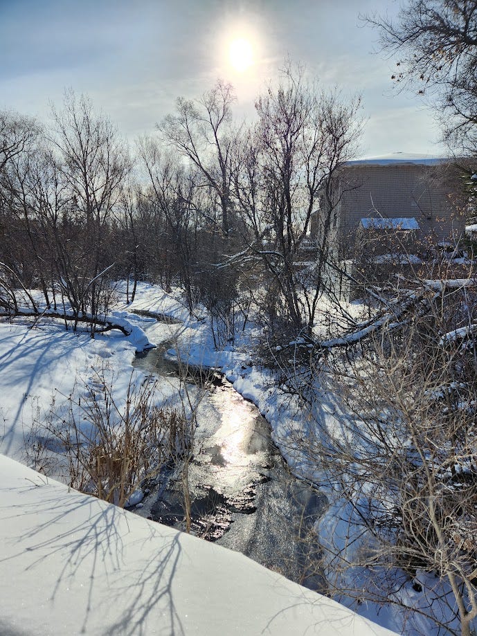 Picture of Junction Creek on a bright winter day.