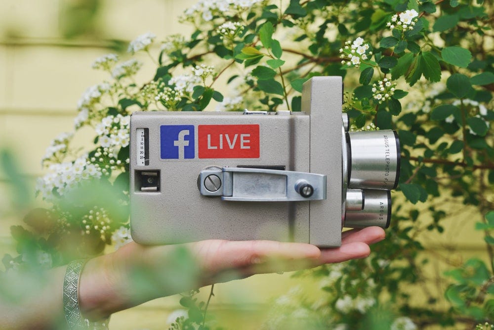 person holding gray video camera near green leaf plant during daytime person holding gray video camera near green leaf plant during daytime