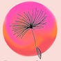 The Feminine Connection's avatar