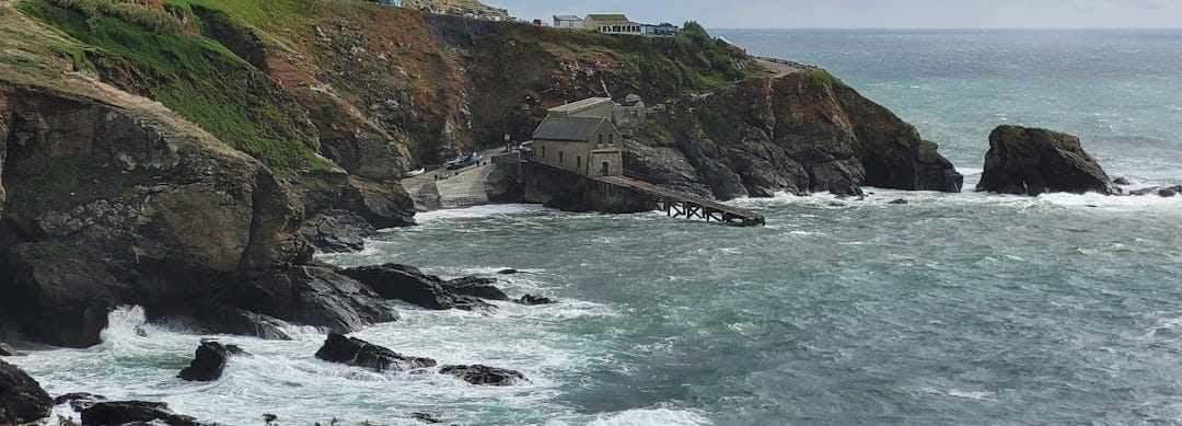 A view of a rocky coastline with houses on it A view of a rocky coastline with houses on it