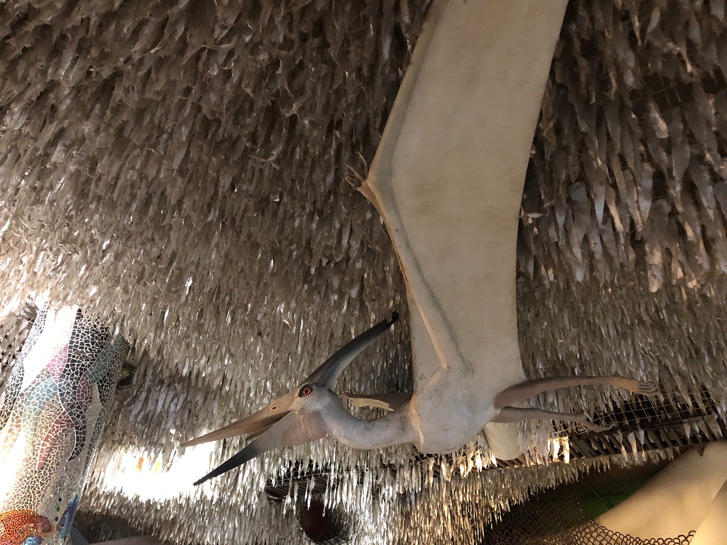 A photo of a flying dinosaur