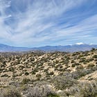 Mojave Desert Peak #2 - Warren Peak