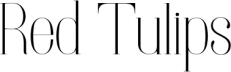 🌷Red Tulips