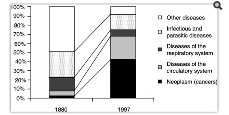 victorian consumption patterns 1
