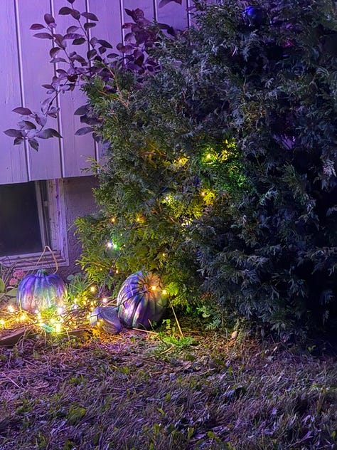The lit bushes of the Aurora Wisp Swarm.