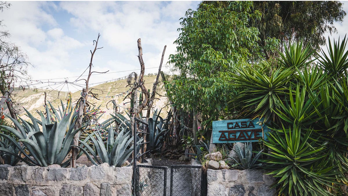 Miske: Tequila's Ecuadorian Ancient Cousin, Brewed in the Middle of The  World