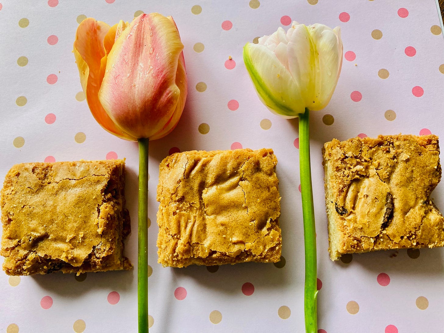 Rhubarb and custard blondies