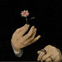 SH's avatar