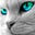 Mathew Sea's avatar