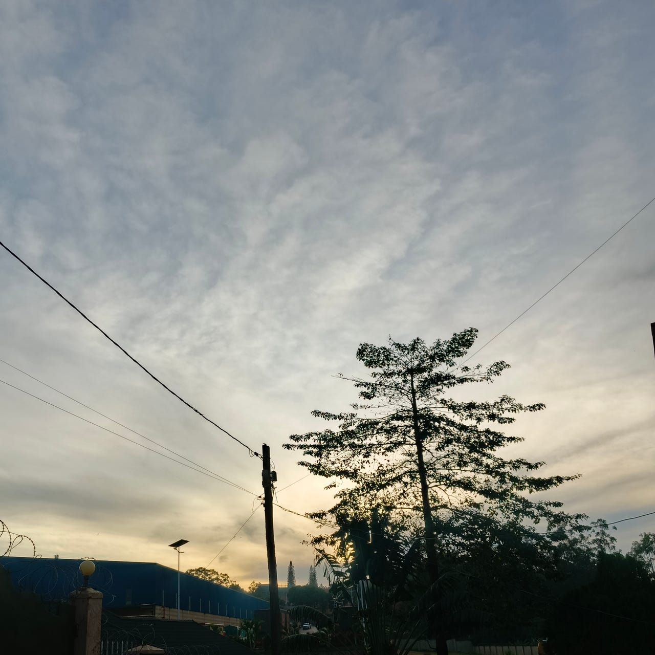 Artwork for Daisies and Letters