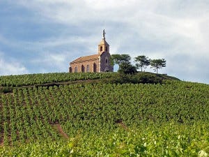 The historic hilltop Chapelle de la Madone overlooks the vineyards of Domaine de la Madone. The historic hilltop Chapelle de la Madone overlooks the vineyards of Domaine de la Madone.