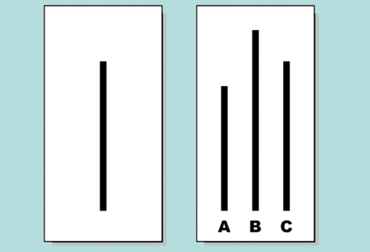 The line between conformity and resistance | BPS