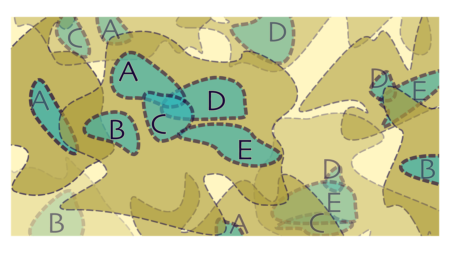 Imagem caótica com várias formas semitransparentes sobrepostas. Há formas ameboides amarelo-escuras com formas ameboides menores azul turquesa dentro delas. As formas azul turquesa têm os rótulos A, B, C, D ou E, e também têm forma irregular. Todas as formas são margeadas com linhas tracejadas. Uma forma ameboide pode ser visualizada de forma completa, com as 5 formas azul turquesa dentro dela. Outras formas estão nos cantos e bordas da imagem e apenas uma parte delas pode ser visualizada.