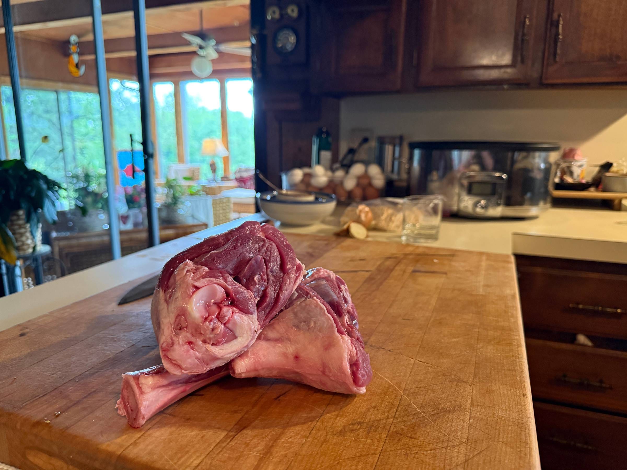 From Life and Lamb
