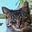 Junie B's avatar