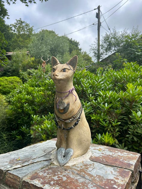 The left image is of my hand gently holding the still attached flower of an aster. The middle image is of a cat statue with many different necklaces hanging around it's neck. The right image is of me lying in a hammock at a wild campsite in front of a loch.