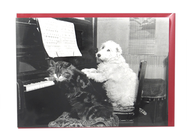 Cat & Dog Greetings Card “You hum it, I'll play it" | musical gifts online