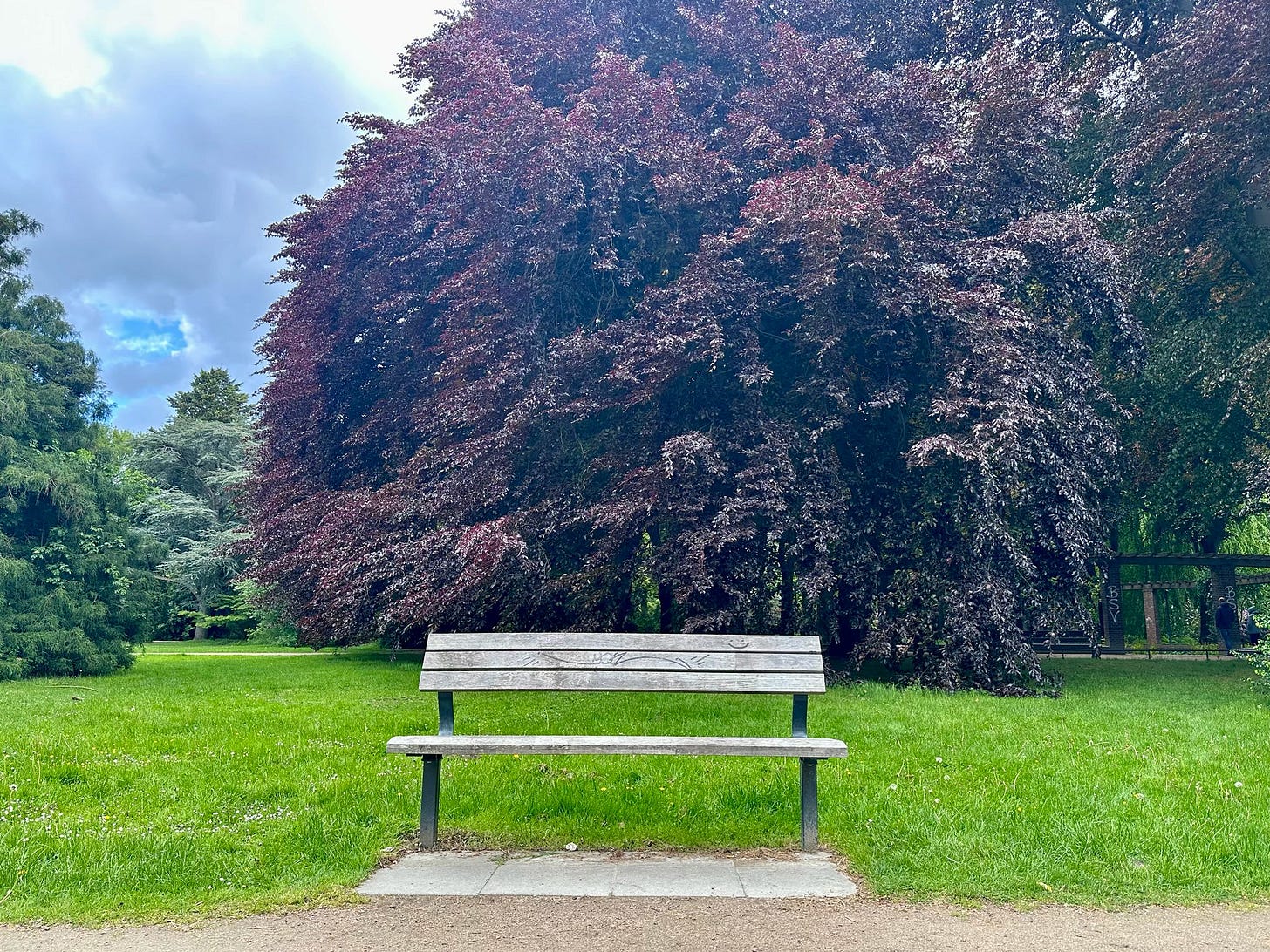 A wooden bench sitting alone in a green park, surrounded by trees and grass on a quiet day.