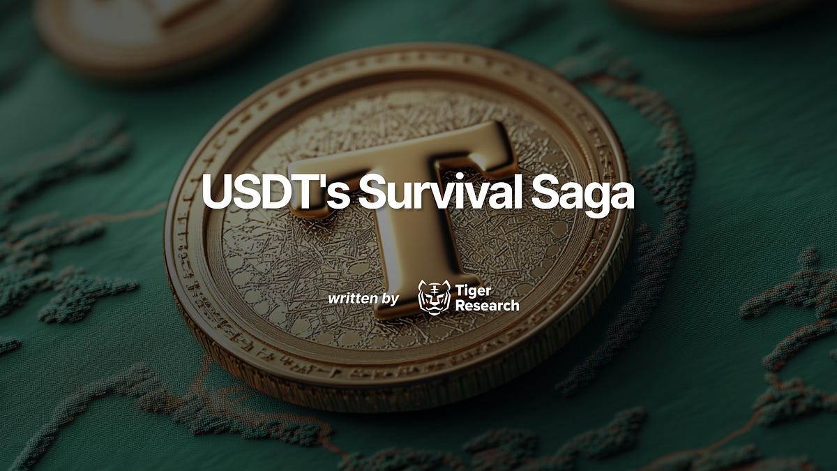 규제 폭풍 속 USDT 생존일기