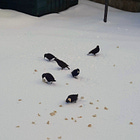 Returning to Presence