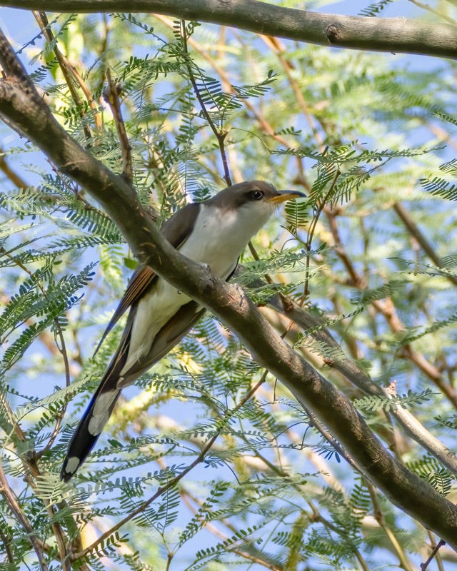 20250730-Sweetwater-18-Edit.jpg 20250730-Sweetwater-18-Edit.jpg