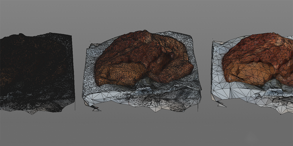 Photogrammetry model processing - TVASurg - The Toronto Video Atlas of Surgery Photogrammetry model processing - TVASurg - The Toronto Video Atlas of Surgery