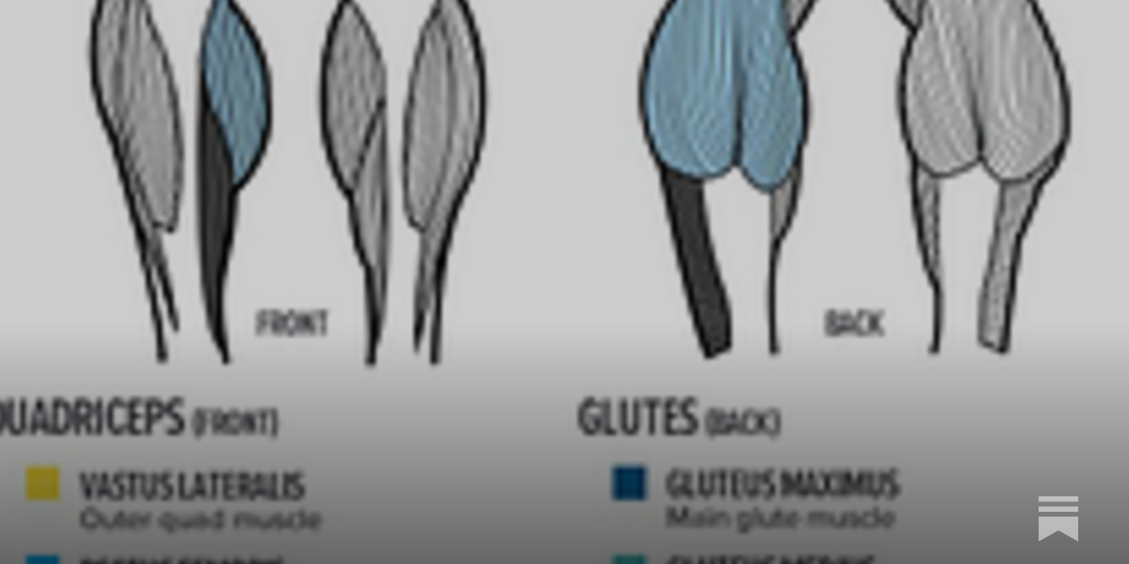 Your Guide To Training Legs - by BowTiedOx