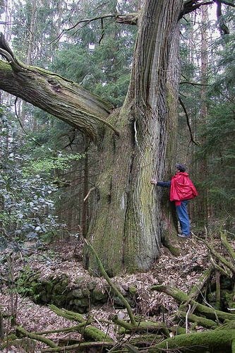 8447035376_0af3ed0092 8447035376_0af3ed0092