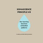 Somascience Principle #3