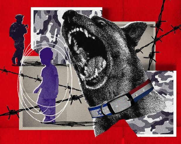 Unleashing terror: Dutch dogs in Israel's war crimes - SOMO Unleashing terror: Dutch dogs in Israel's war crimes - SOMO