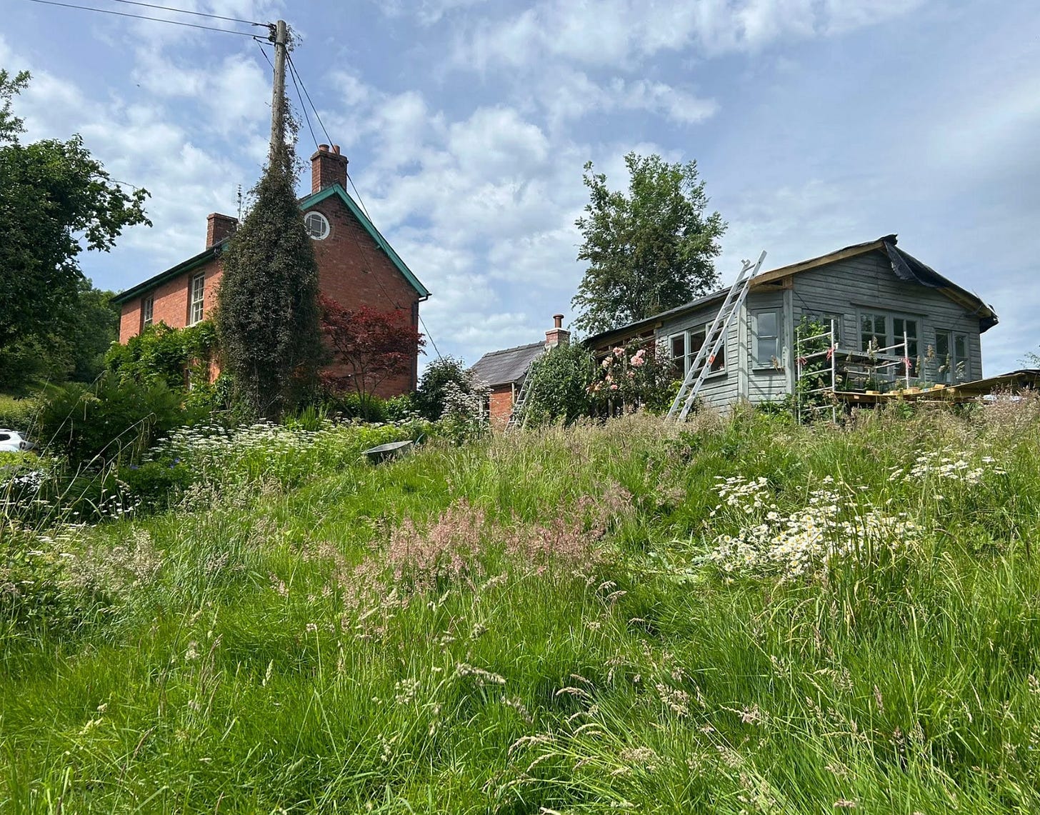 May in Abbeydore Liberty Nimmo 