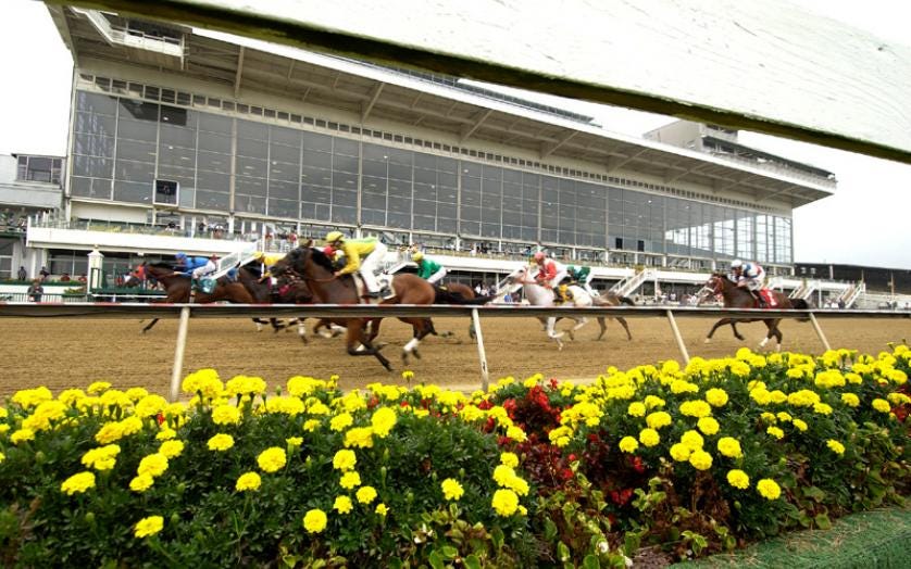 Preakness Stakes | VisitMaryland.org