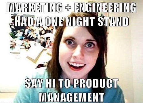 How to transition from Software Developer to Product Manager