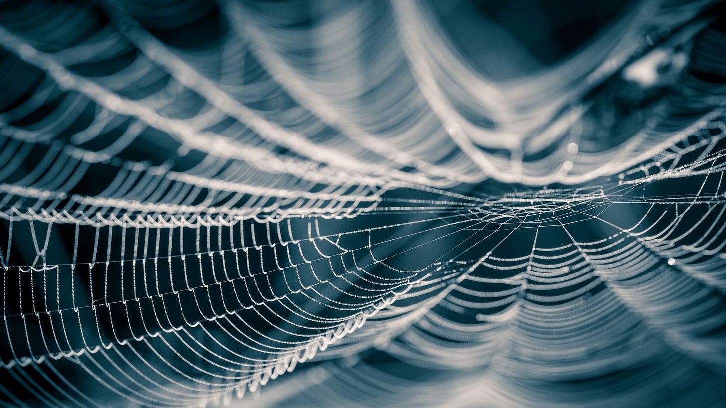 La toile d'araignée, une matière innovante en passe de révolutionner la mode ? - RTBF Actus La toile d'araignée, une matière innovante en passe de révolutionner la mode ? - RTBF Actus