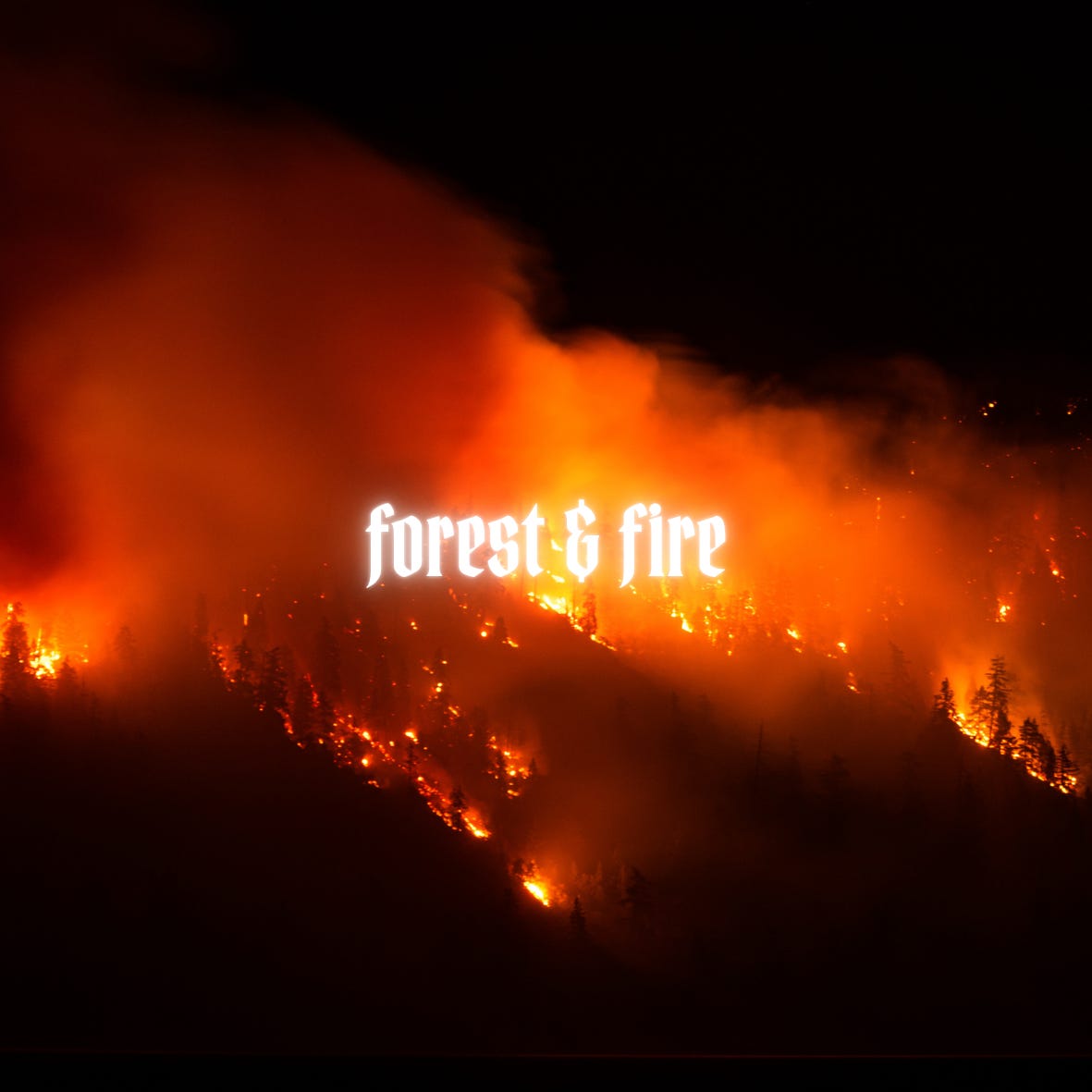 Forest and Fire