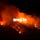 Forest and Fire