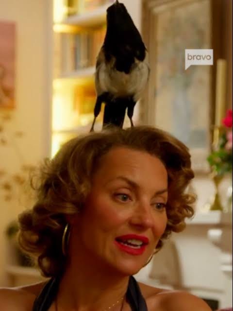 Home is Where Hecate Is - Martha Sitwell Ladies of London
