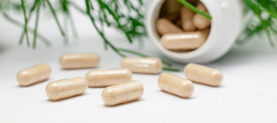 a group of nuts and a plant